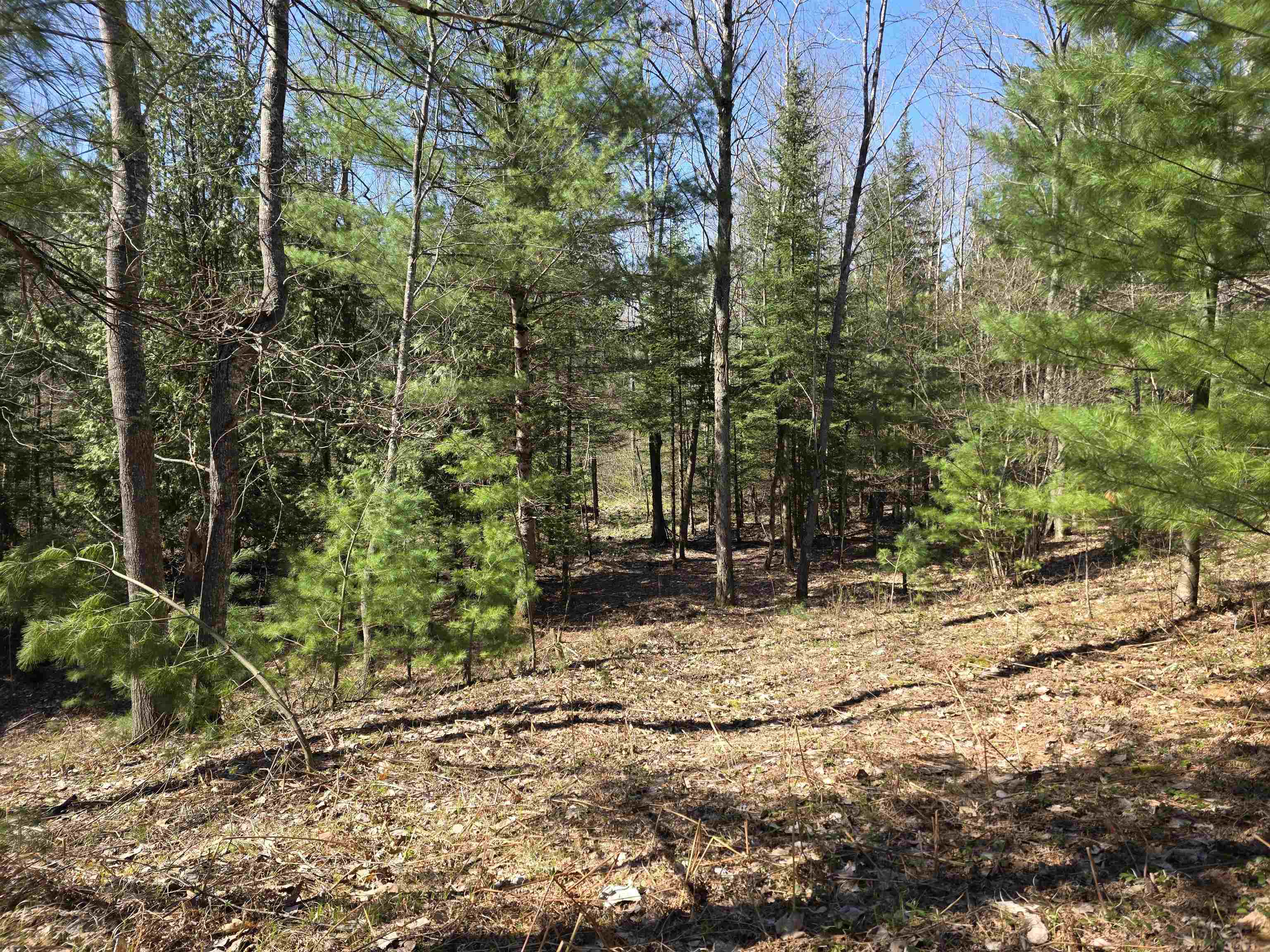7299 North Truesdale Road Manton, MI 49663 - Photo 24 of 51
