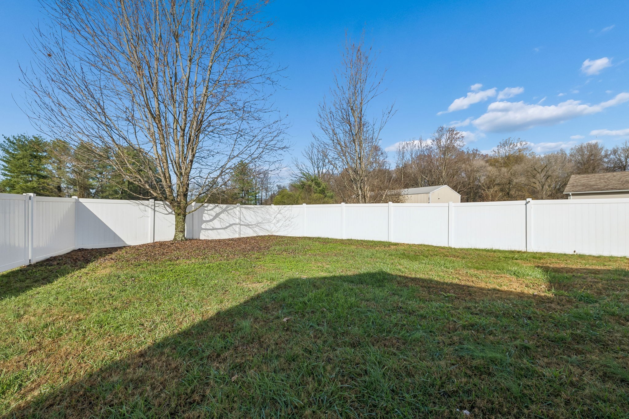 641 McKaig Road Murfreesboro, TN 37127 - Photo 36 of 51 a view of yard with swimming pool and trees in the background