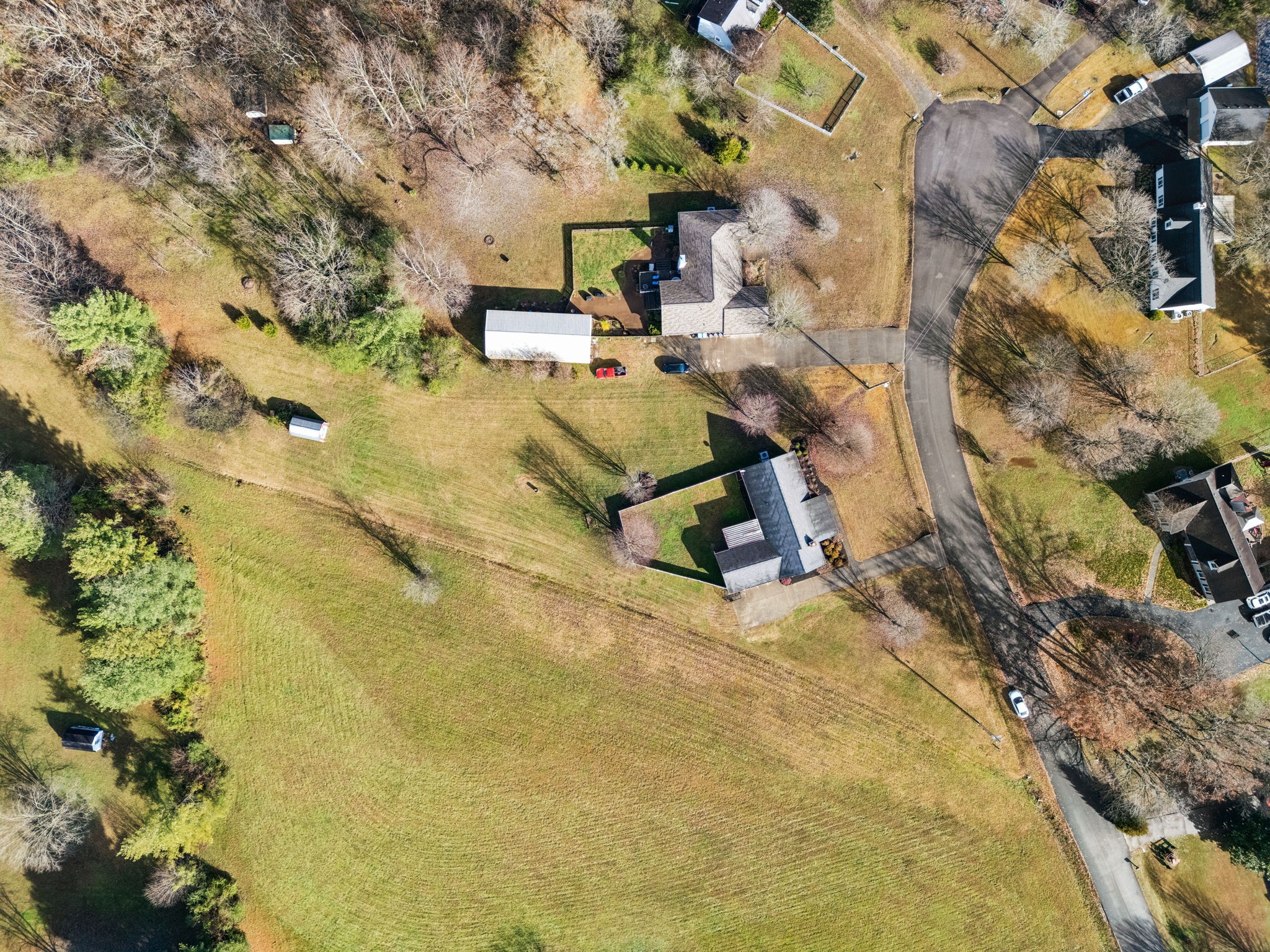 641 McKaig Road Murfreesboro, TN 37127 - Photo 49 of 51 a view of a backyard with plants and a wooden bench