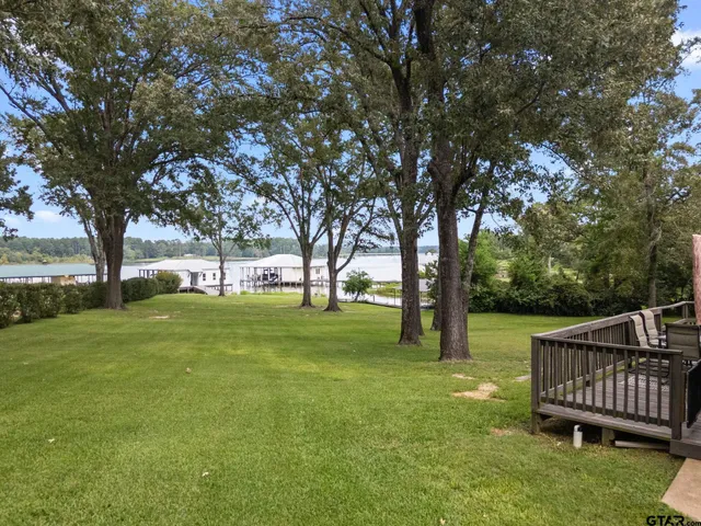 a view of a garden with trees