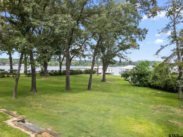 a view of a park with trees