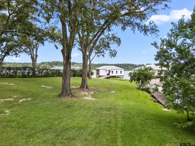 a view of a park with large trees