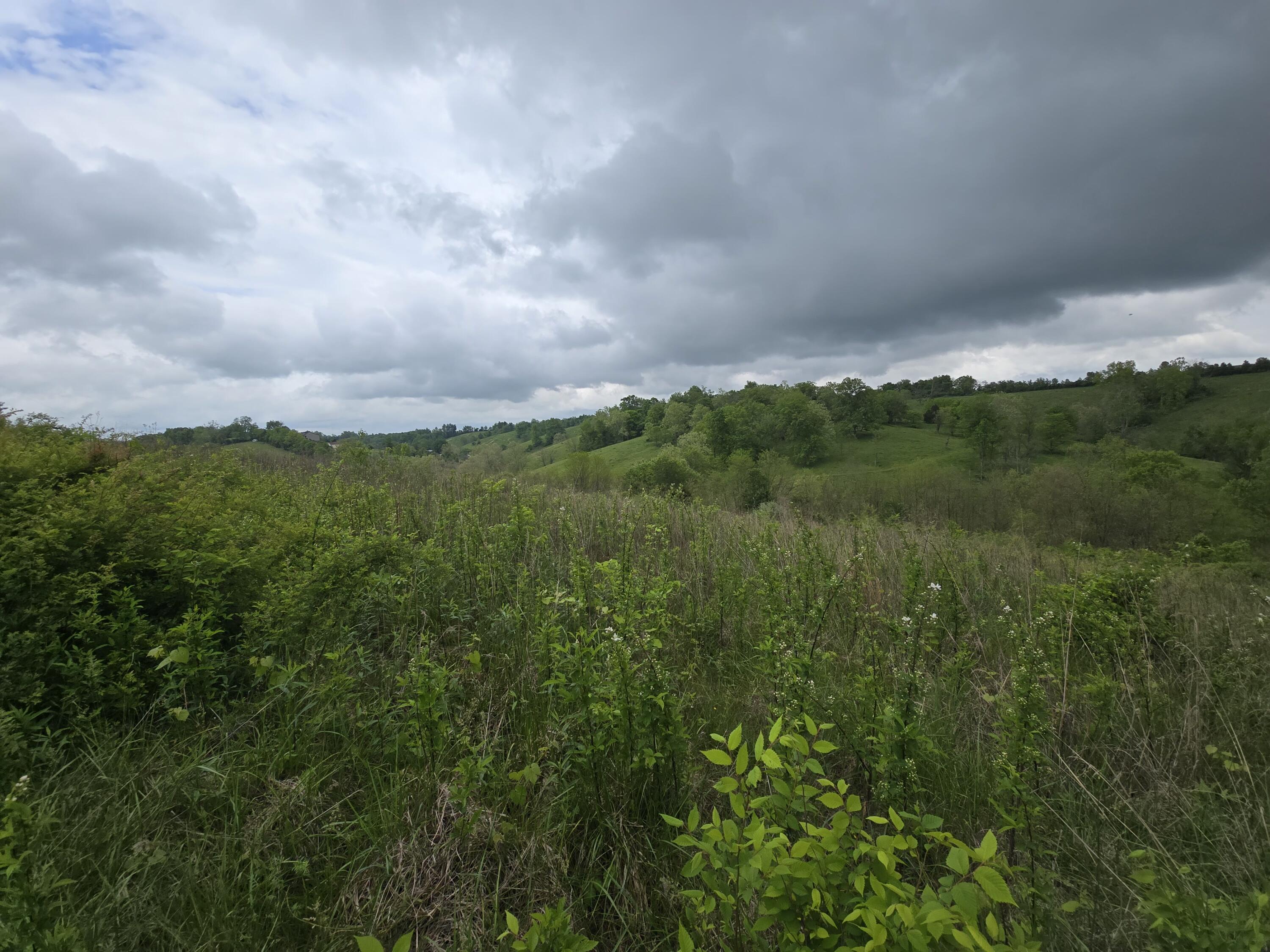 396 Pilot View Road Winchester, KY 40391 - Photo 6 of 10 20240506_123511-5