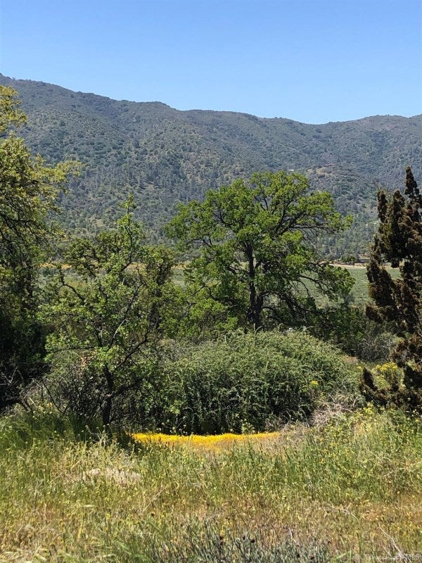 0 Walker Basin Road Caliente, CA 93518 - Photo 7 of 10 Gallery Image 7