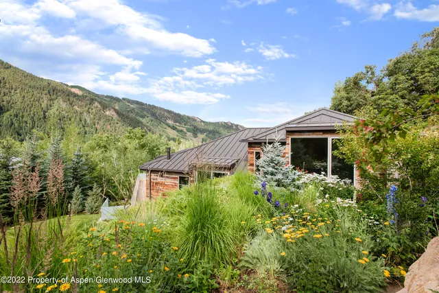 a view of a yard with an outdoor space