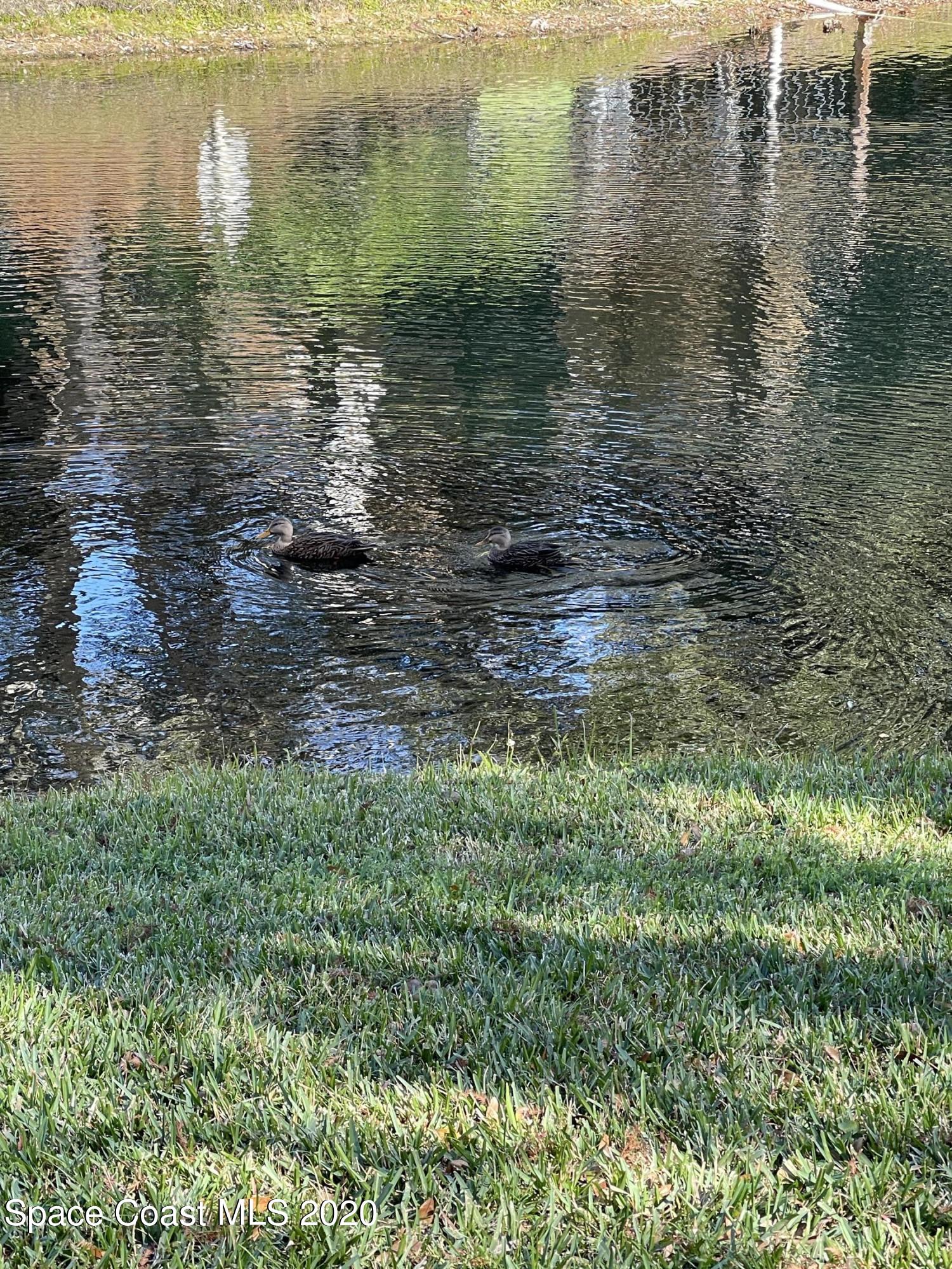 7667 North Wickham Road, Unit 918 Melbourne, FL 32940 - Photo 23 of 23 0gUwlZeGS+Kg8kTphDukRA