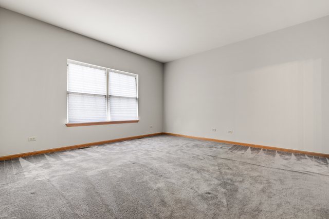 1807 Ridgemoor Drive Plainfield, IL 60586 - Photo 13 of 30