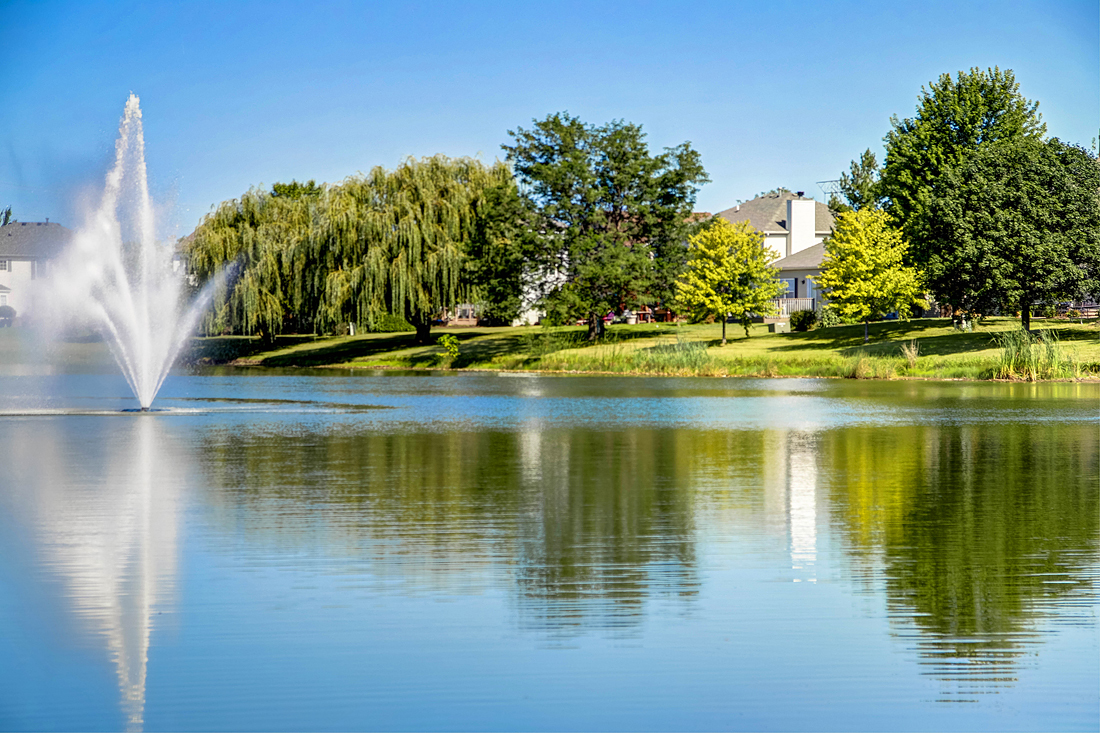 1807 Ridgemoor Drive Plainfield, IL 60586 - Photo 29 of 30