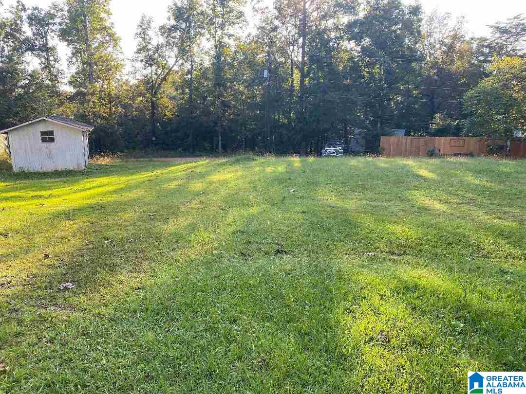 337 Grove Street, Unit 1 Springville, AL 35146 - Photo 2 of 3