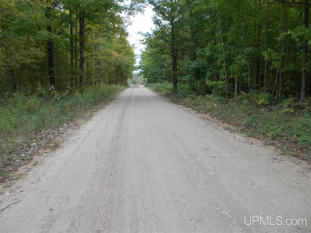 50-acres Camp Nine Road Ralph, MI 49877 - Photo 5 of 12