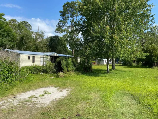 a backyard of a house with plants and large tree