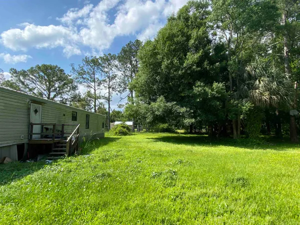 a view of a backyard with potted plants and large trees