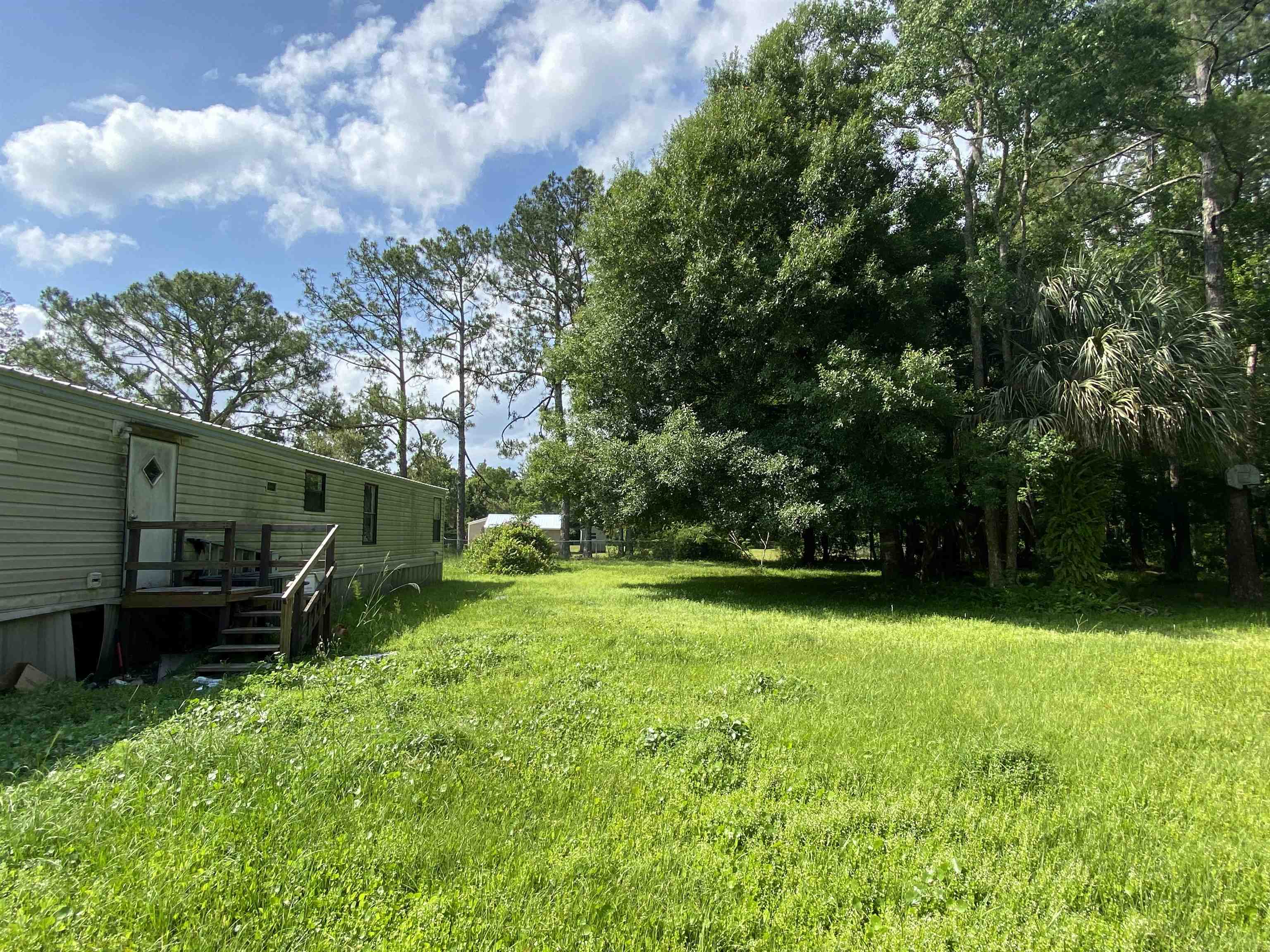2829 Green Acres Rd Extension St. Augustine, FL 32084 - Photo 10 of 10 a view of a backyard with potted plants and large trees