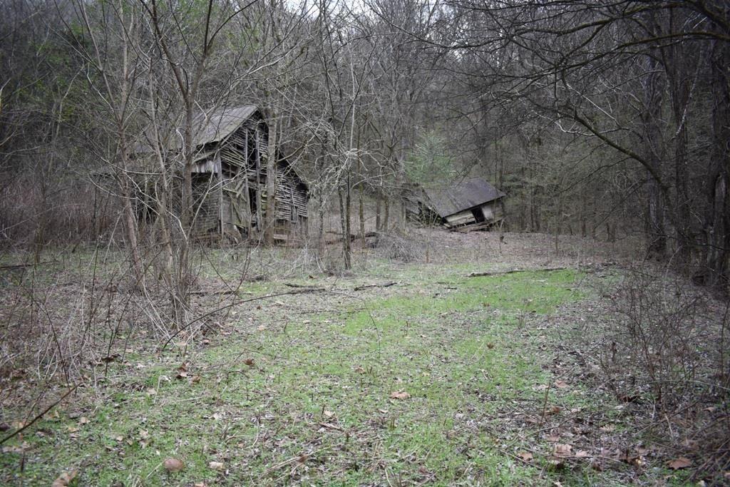 0 Carter Road Elmwood, TN 38560 - Photo 1 of 7 Gallery Image 1