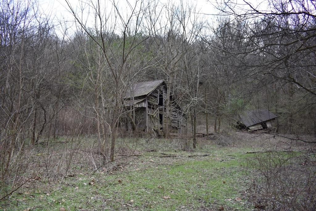0 Carter Road Elmwood, TN 38560 - Photo 2 of 7 Gallery Image 2