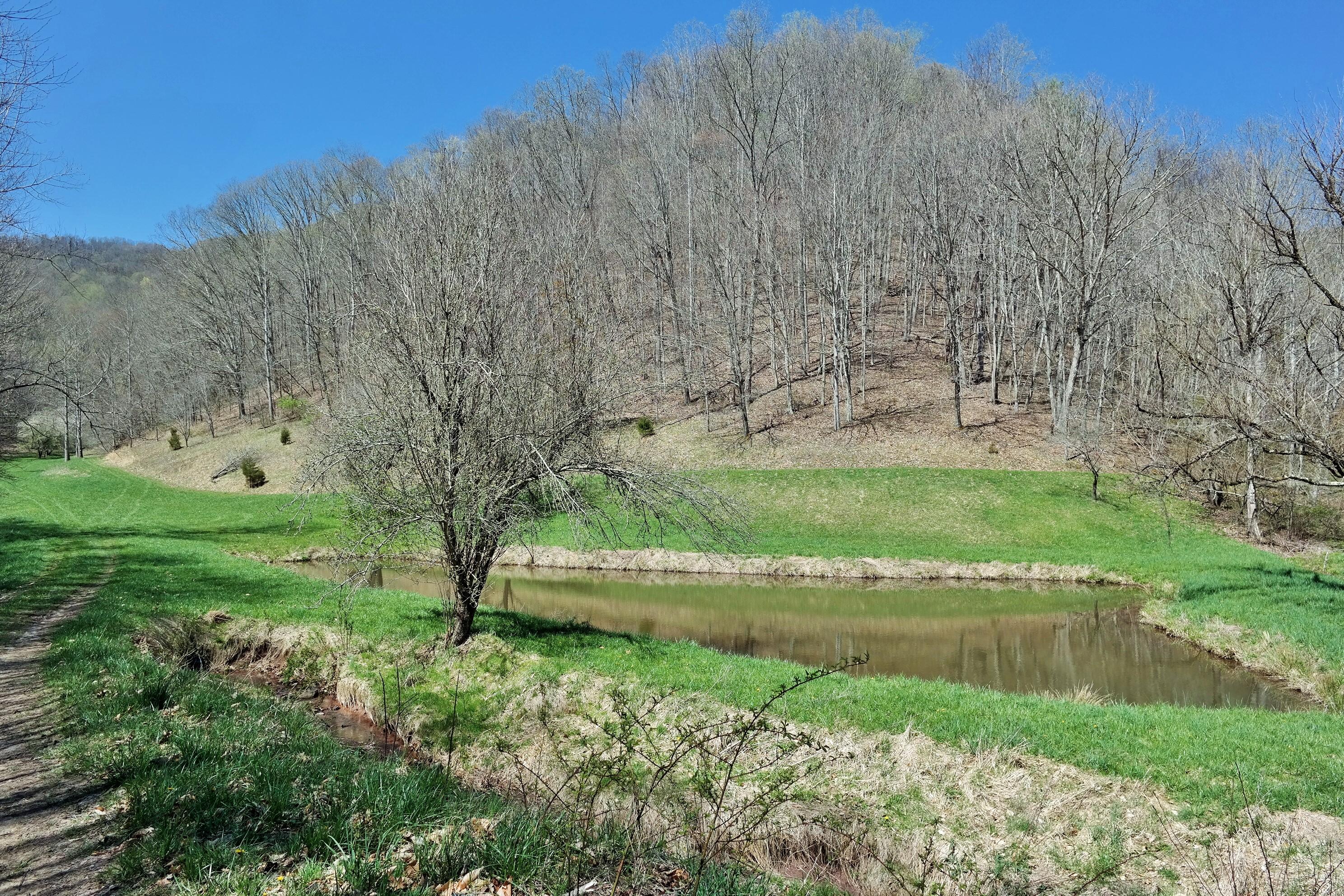 3678 Snake Run Road Alderson, WV 24910 - Photo 39 of 124 Gallery Image 39