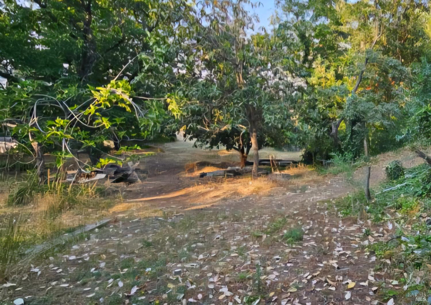 1138 Lokoya Road Napa, CA 94558 - Photo 12 of 35 a backyard of a house with table and chairs