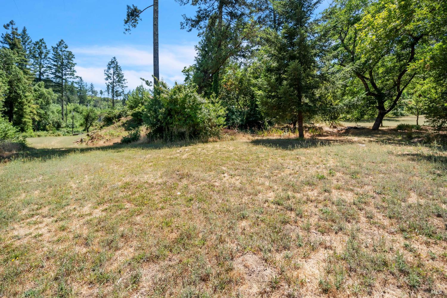 1138 Lokoya Road Napa, CA 94558 - Photo 13 of 35 a view of a yard with trees