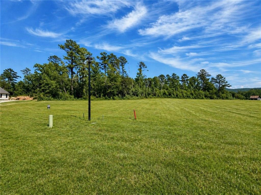 a view of a golf course with a lake