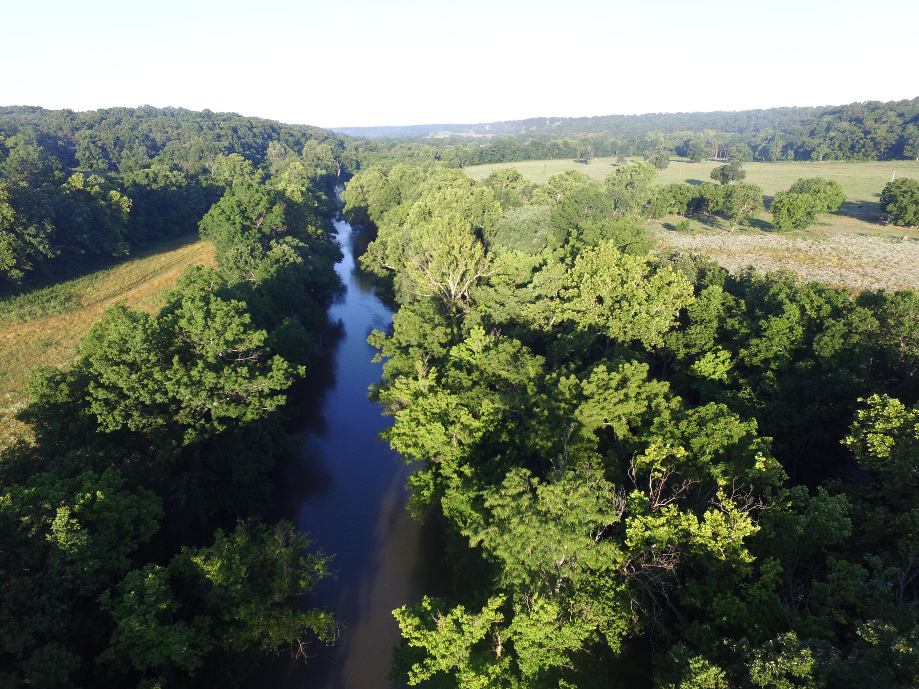 540 Reindeer Road Neosho, MO 64850 - Photo 118 of 125 DJI_0030 copy