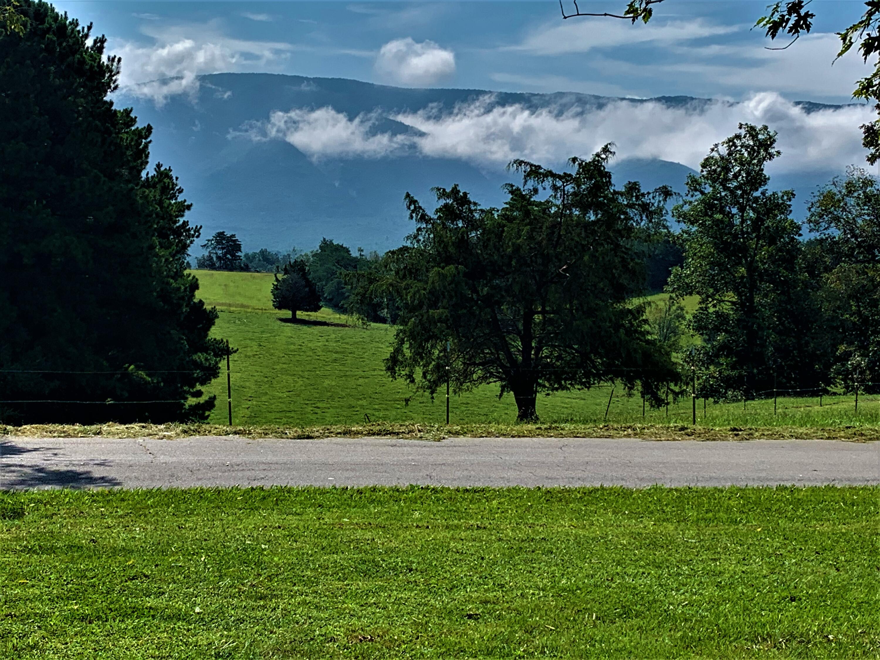 550 Red Hill Road Greeneville, TN 37743 - Photo 50 of 61 IMG_4830 (1)