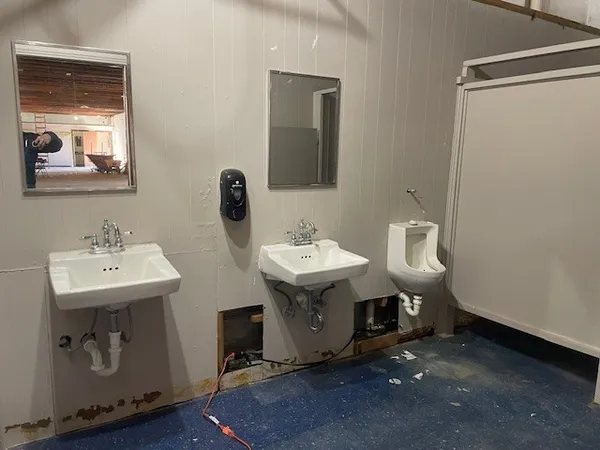 a close up of a wall with a dry plant