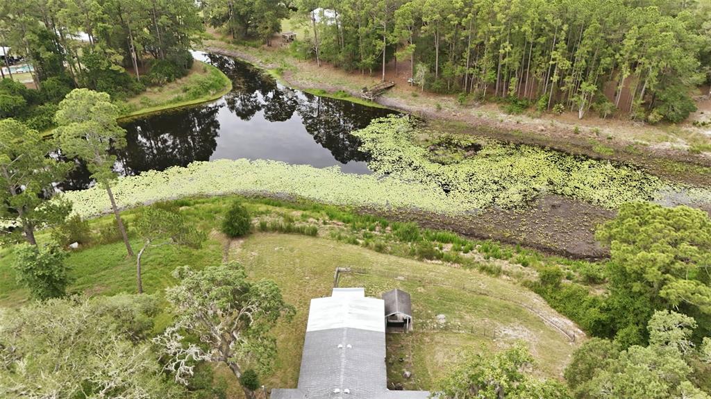 9380 North Cedar Cove Road Dunnellon, FL 34434 - Photo 49 of 55