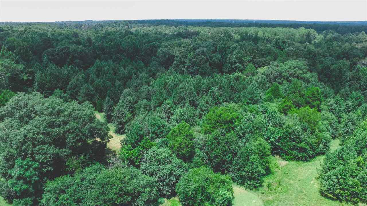 856 South Hampton Road Hampton, GA 30228 - Photo 2 of 4