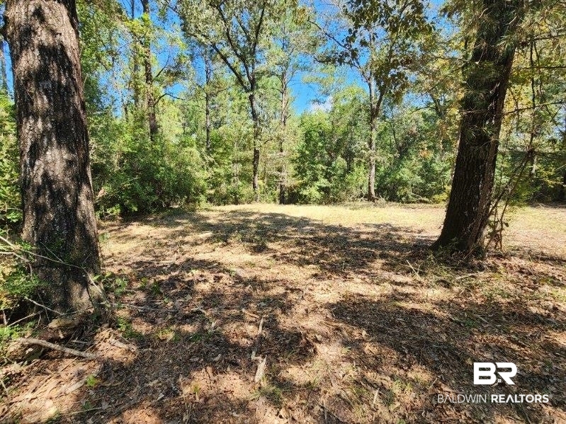 5560 Travis Road Brewton, AL 36426 - Photo 5 of 12