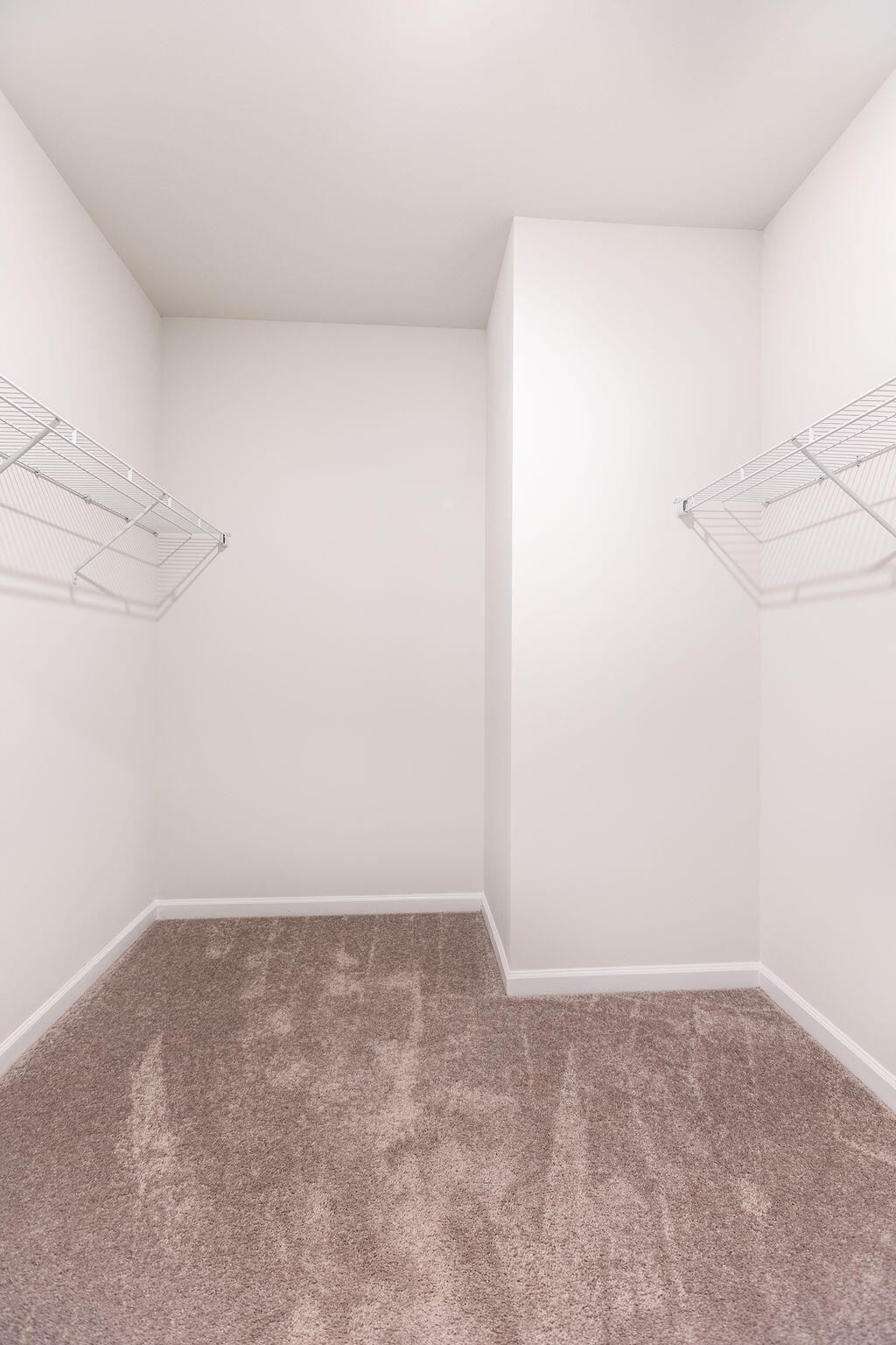 443 Cedarview Road Summerville, SC 29486 - Photo 19 of 45 CaneRidgeModel-18
