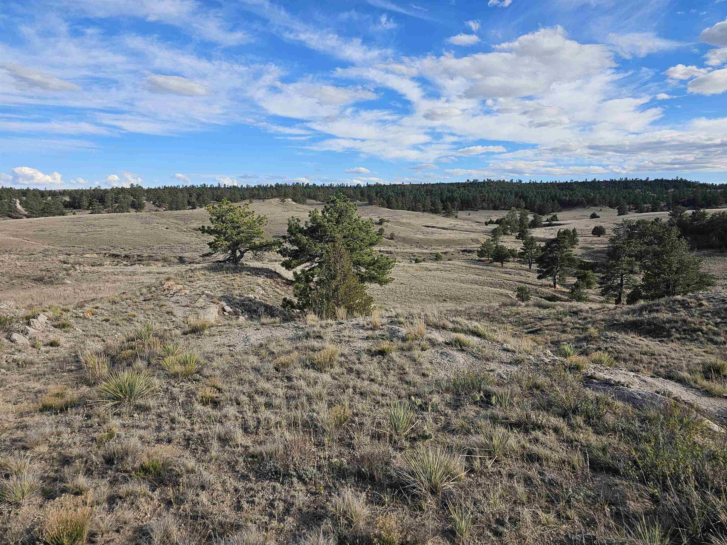 52 Wendover Road Guernsey, WY 82214 - Photo 26 of 42