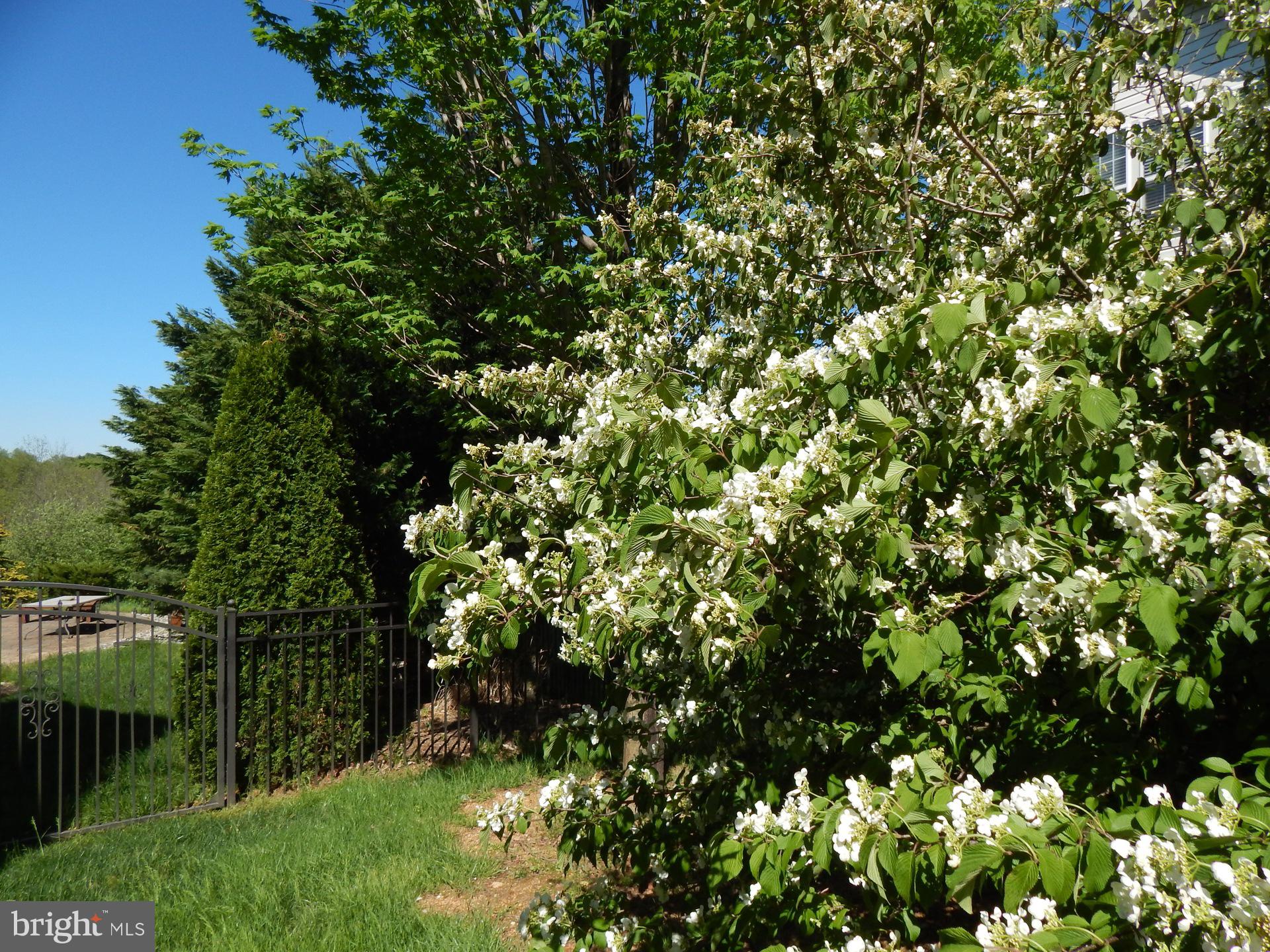 422 Ronsdale Road Eldersburg, MD 21784 - Photo 53 of 56 Gallery Image 53