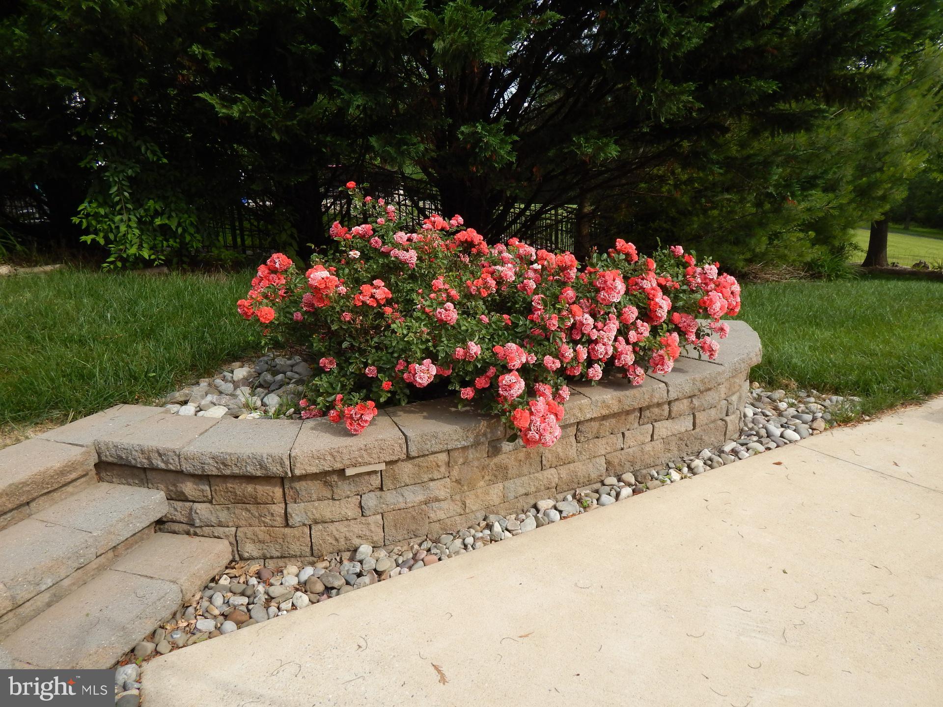 422 Ronsdale Road Eldersburg, MD 21784 - Photo 54 of 56 Gallery Image 54