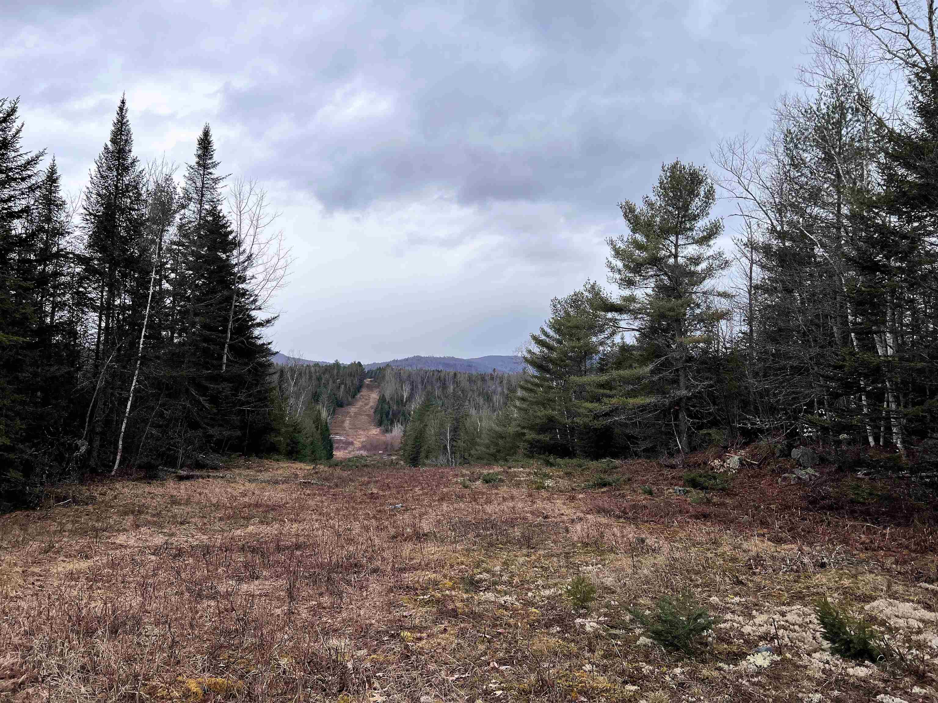 0 Morin Road Guildhall, VT 05905 - Photo 11 of 13