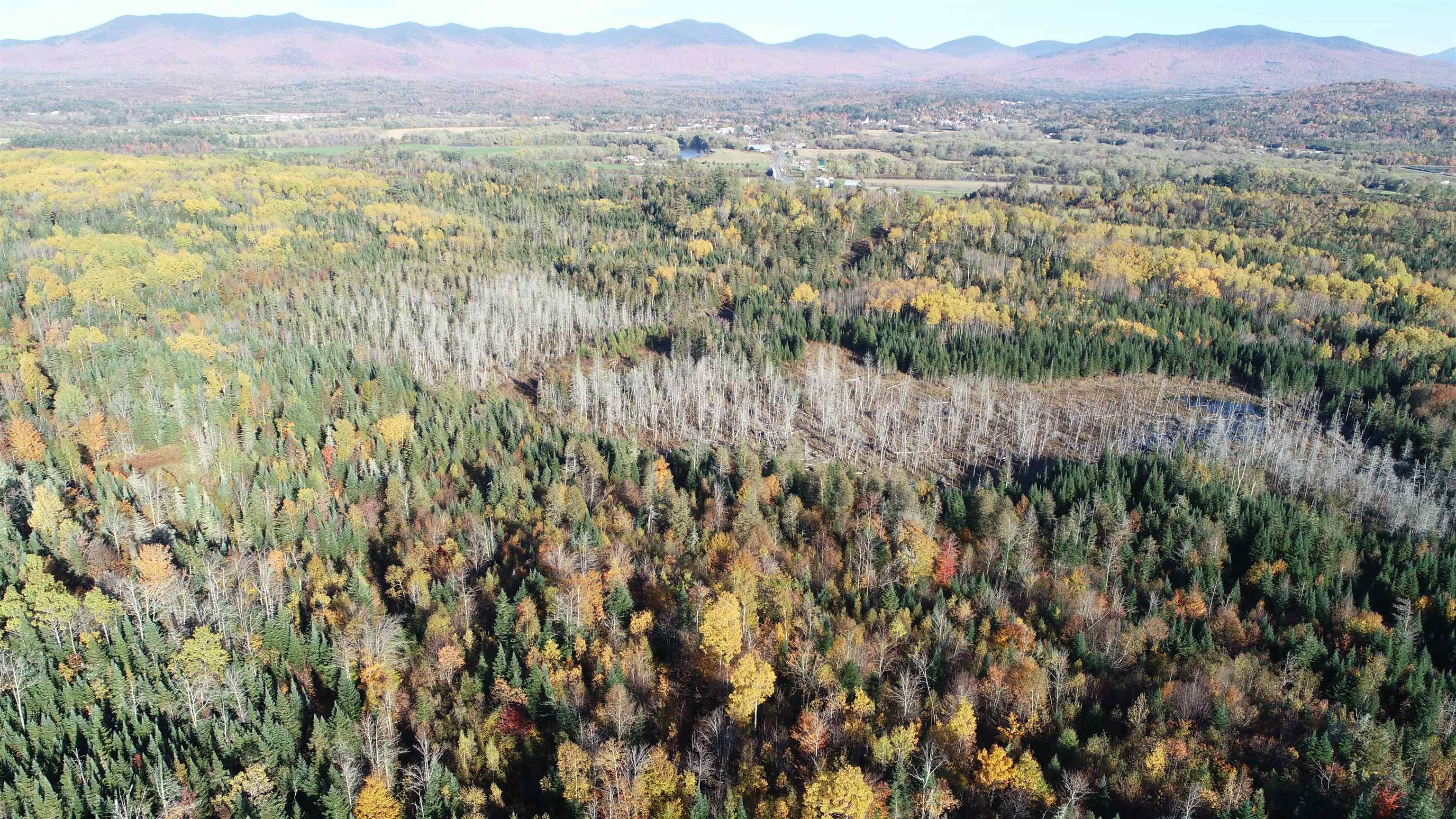 0 Morin Road Guildhall, VT 05905 - Photo 4 of 13