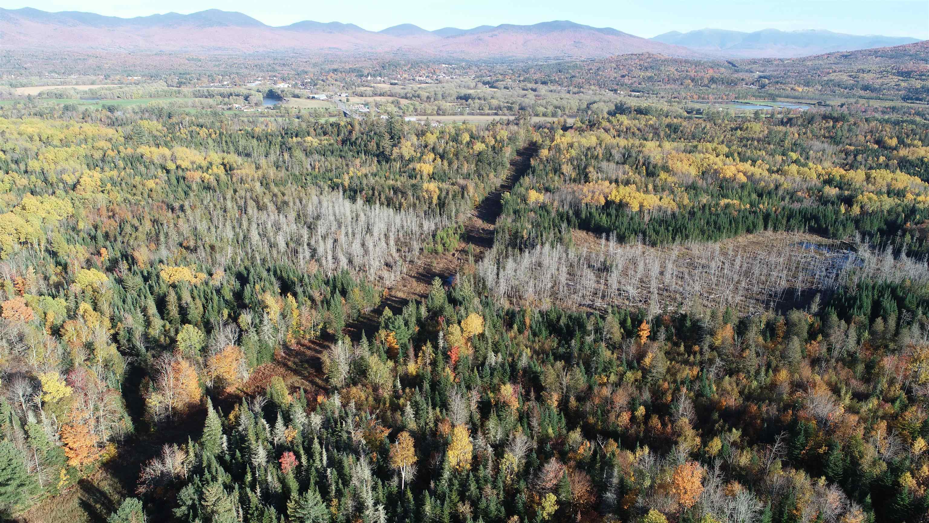 0 Morin Road Guildhall, VT 05905 - Photo 5 of 13