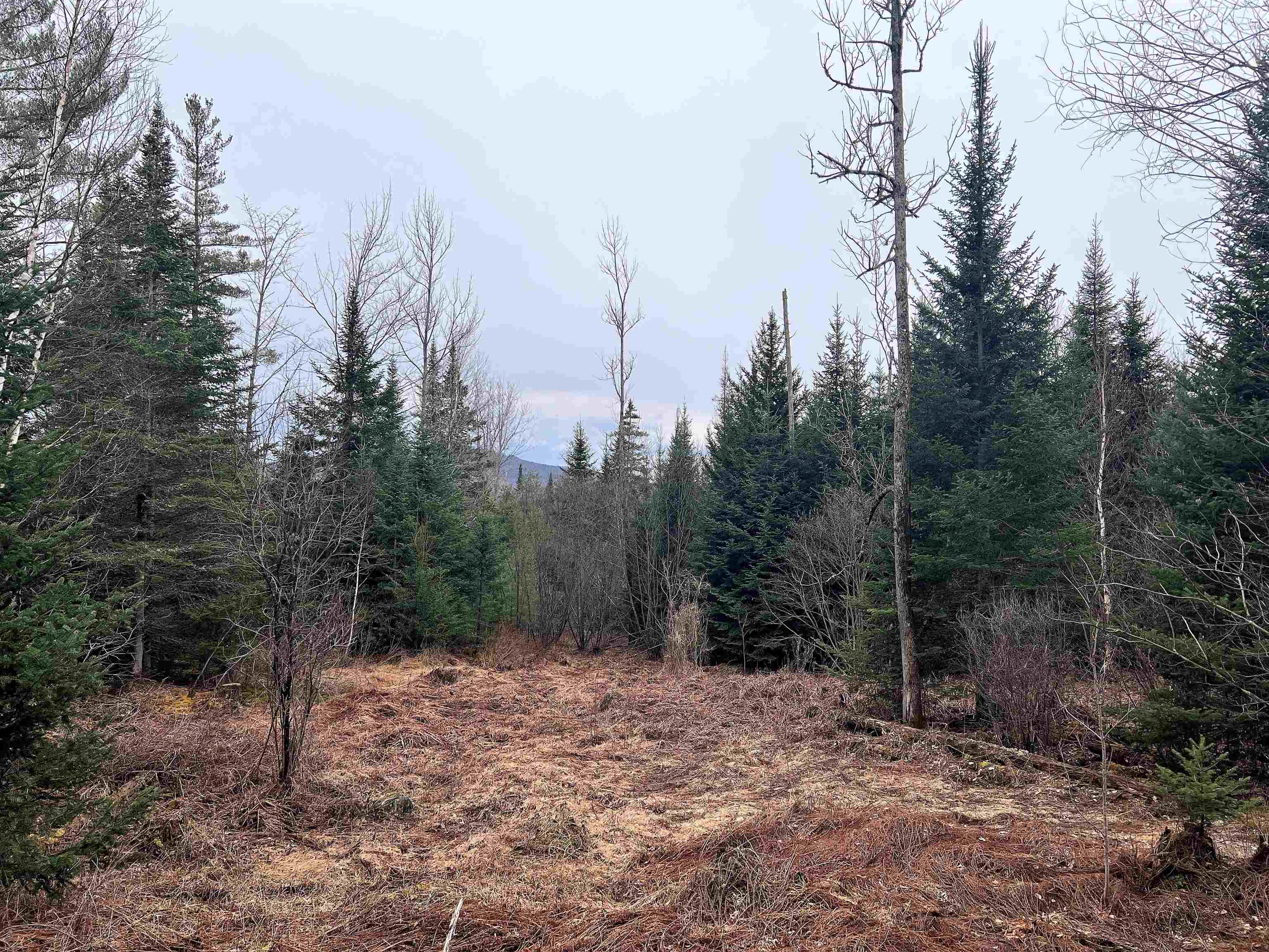 0 Morin Road Guildhall, VT 05905 - Photo 7 of 13