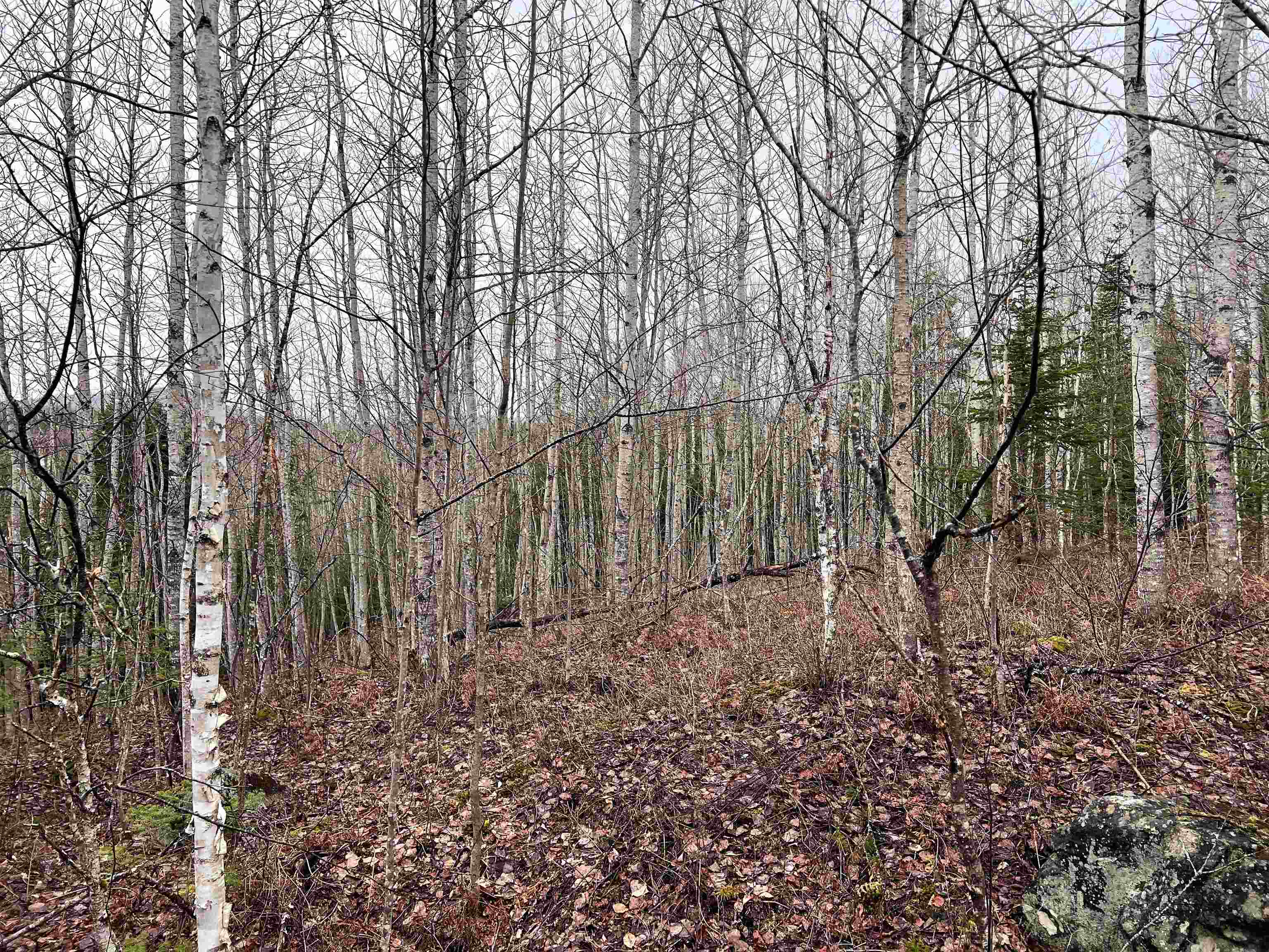 0 Morin Road Guildhall, VT 05905 - Photo 8 of 13