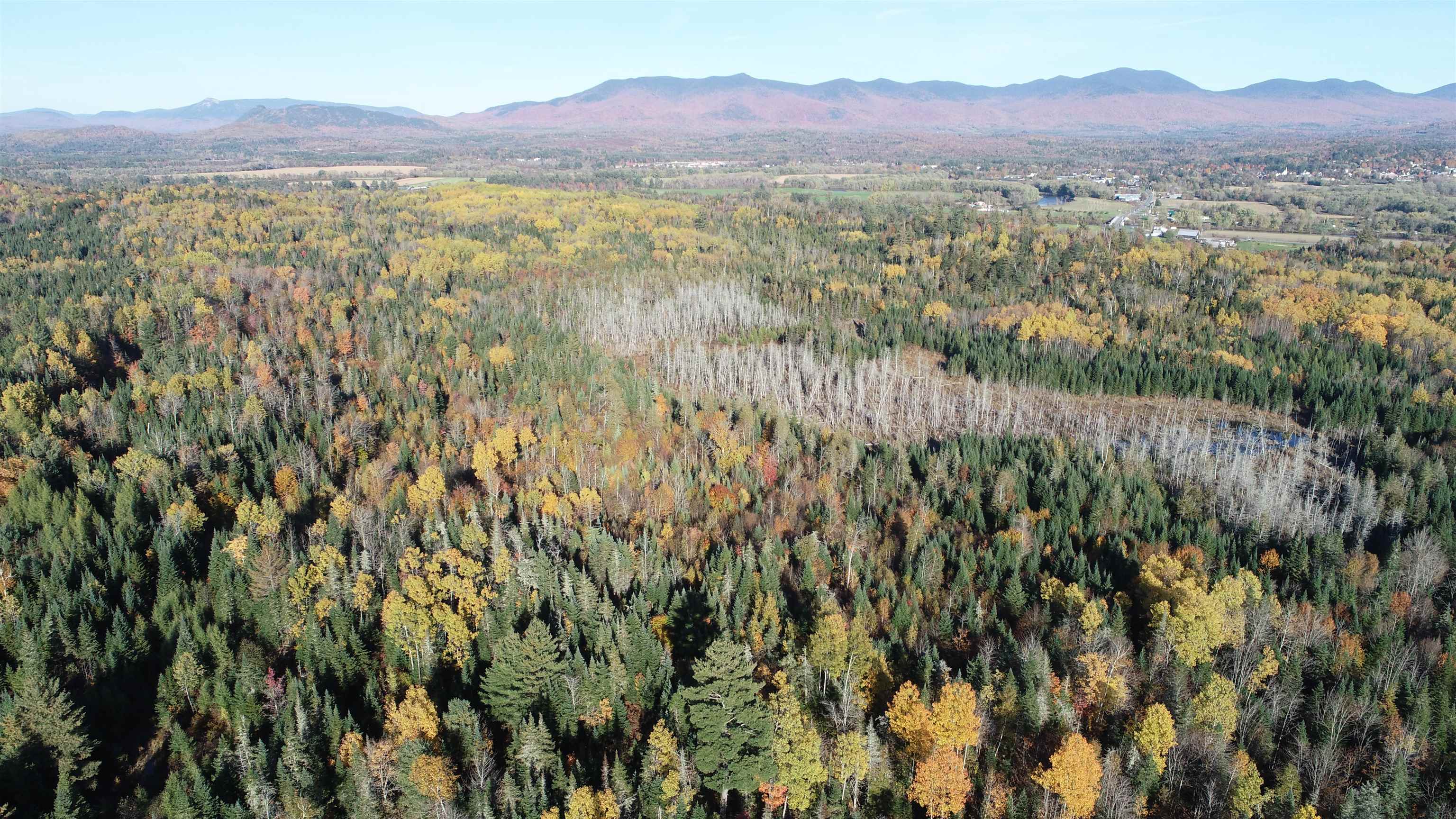 0 Morin Road Guildhall, VT 05905 - Photo 9 of 13