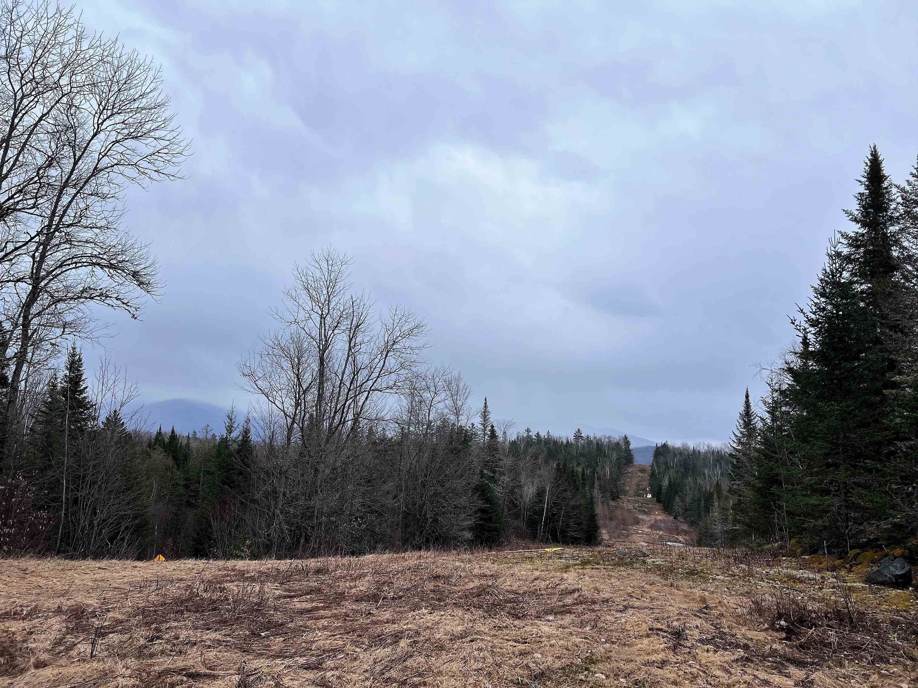 0 Morin Road Guildhall, VT 05905 - Photo 10 of 13