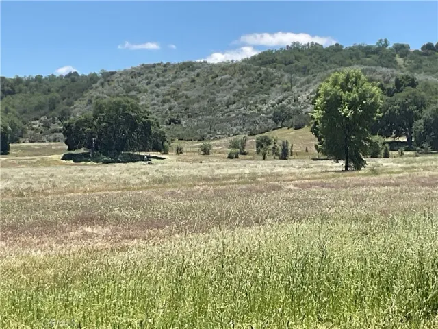 a view of a yard and mountain view