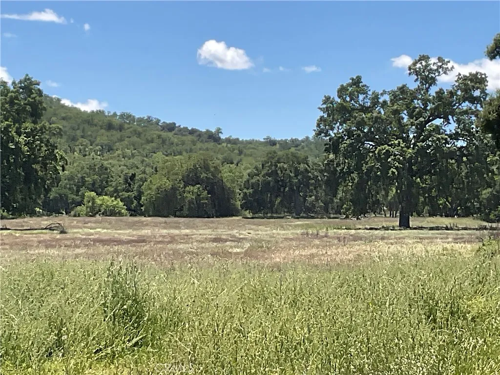 1 Interlake Road Bradley, CA 93426 - Photo 13 of 19 a view of a yard and mountain view