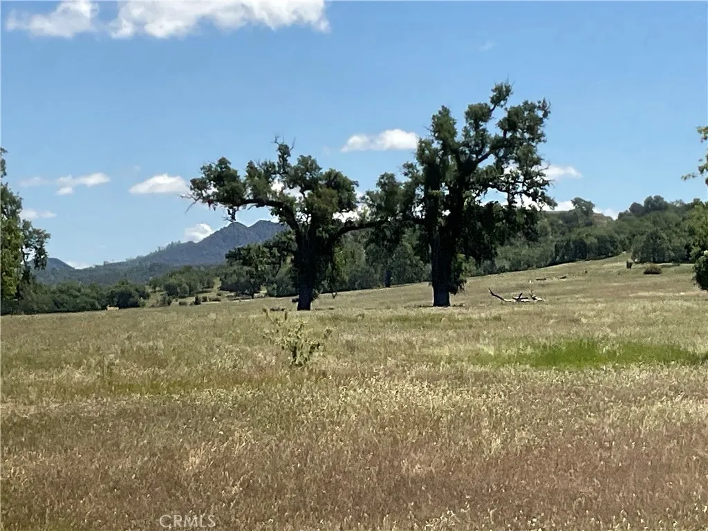 1 Interlake Road Bradley, CA 93426 - Photo 14 of 19 a view of a yard