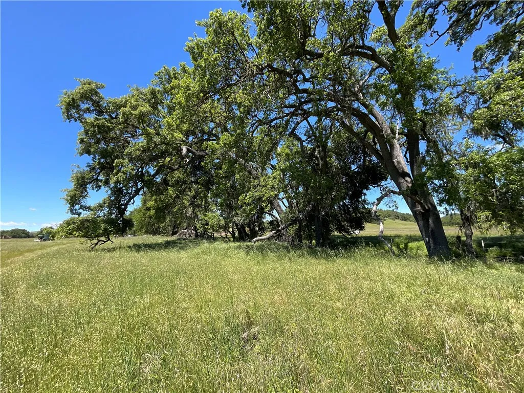1 Interlake Road Bradley, CA 93426 - Photo 5 of 19 a view of a tree in a yard