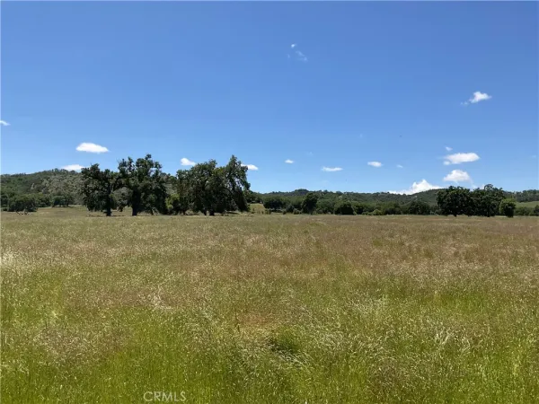 a view of lake with green space