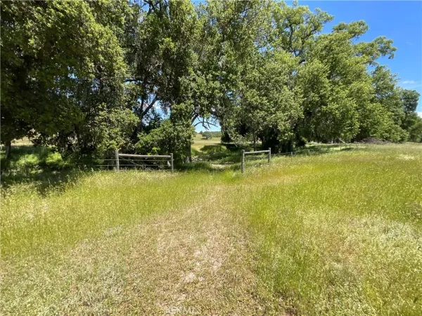 a view of a lake from a yard