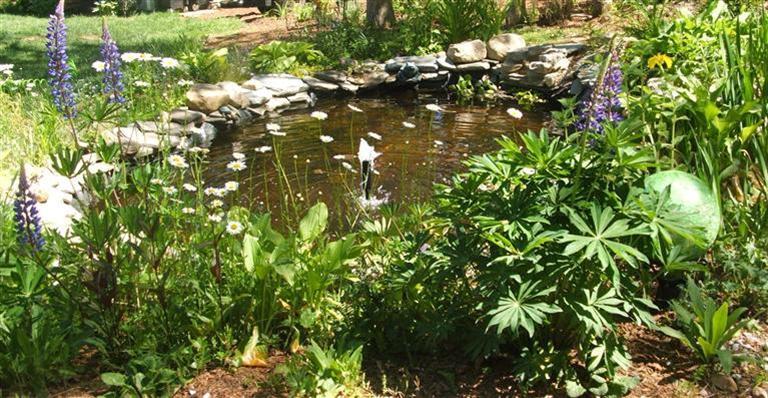 5 Racoon Lane Forestdale, MA 02644 - Photo 9 of 13 Additional Photo