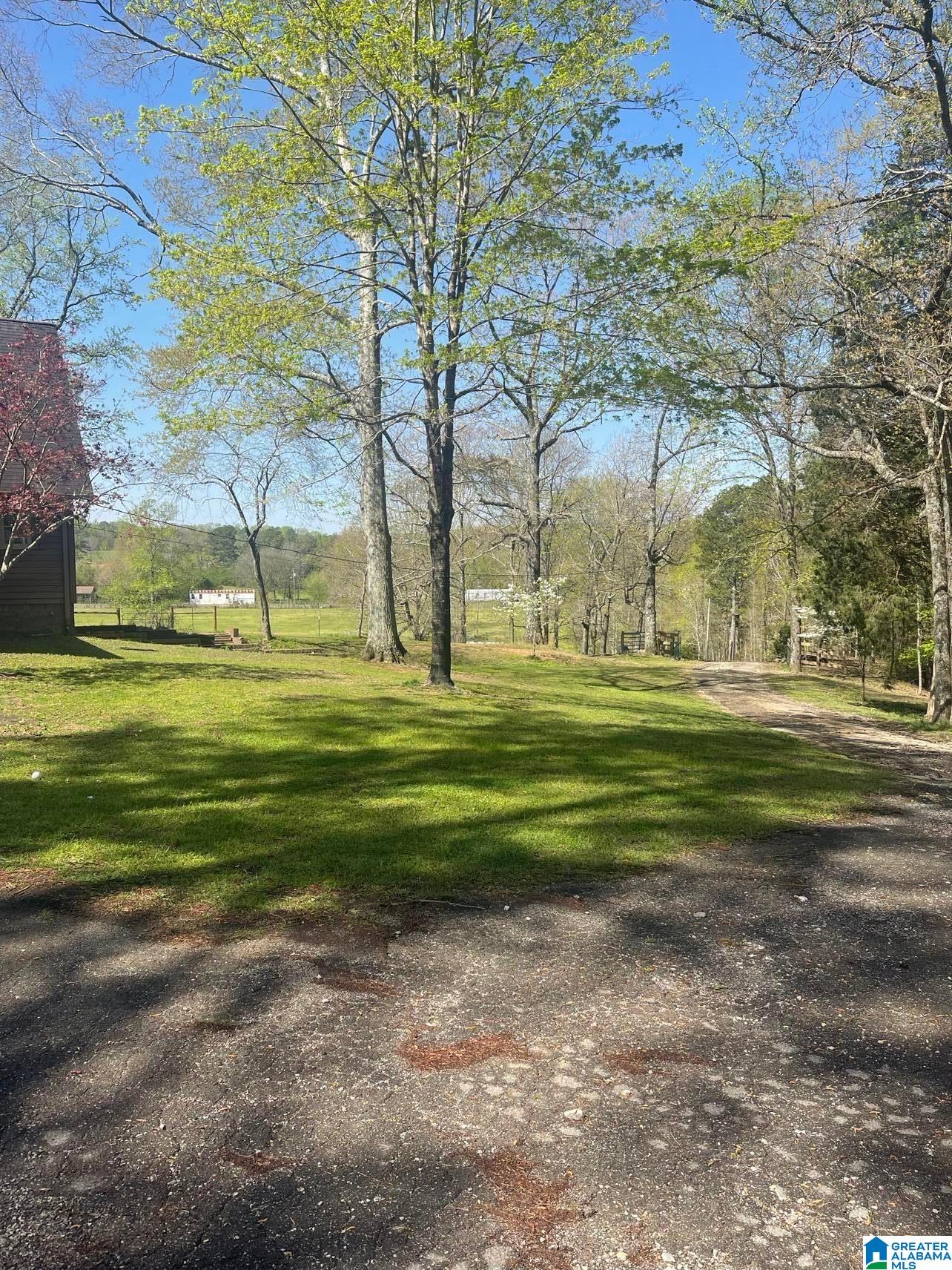 3991 Pine Mountain Road Remlap, AL 35133 - Photo 17 of 22