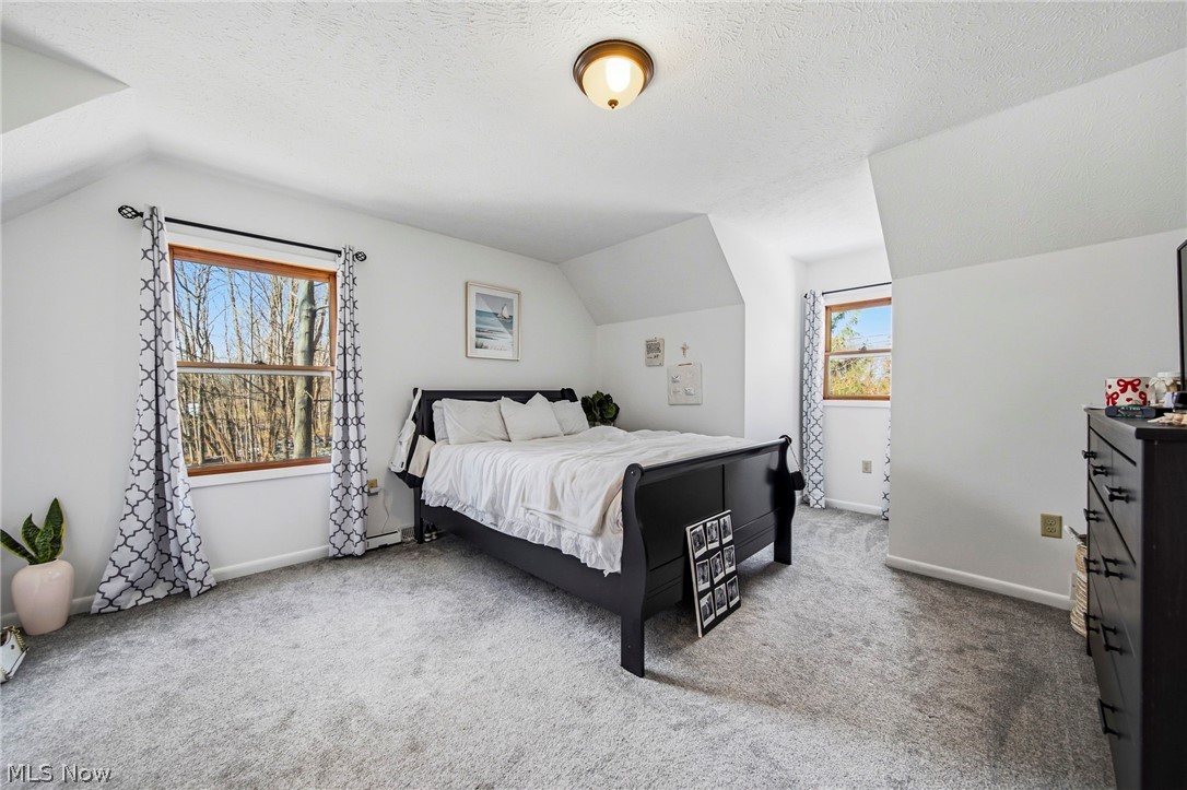 2850 South Ridge Road Perry, OH 44081 - Photo 15 of 41 Bedroom featuring baseboards and carpet floors