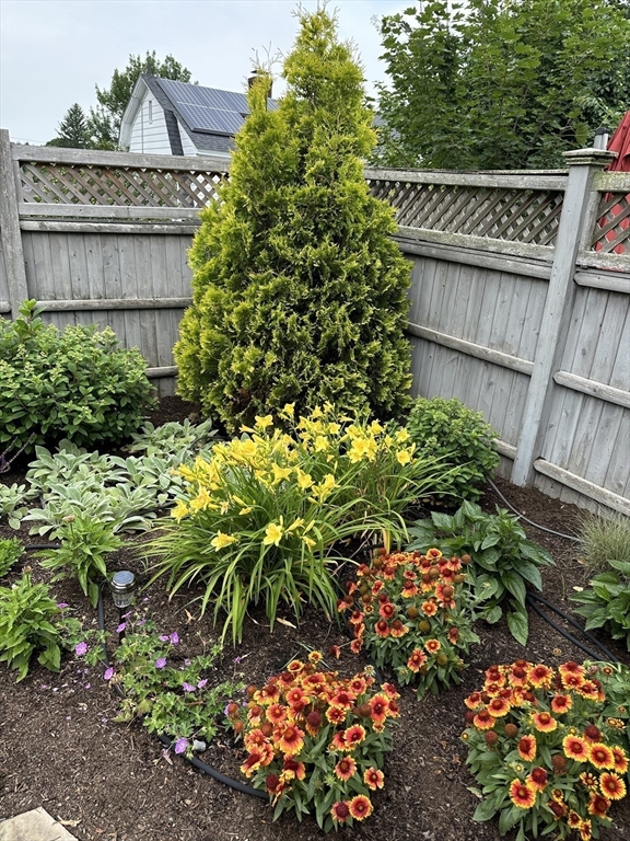 29 Thaxter Road Newton, MA 02460 - Photo 36 of 40 Gallery Image 36